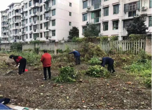 640.webp (11)